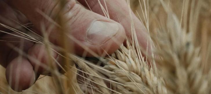 Science grand format